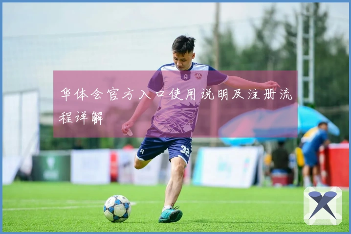 华体会官方入口使用说明及注册流程详解