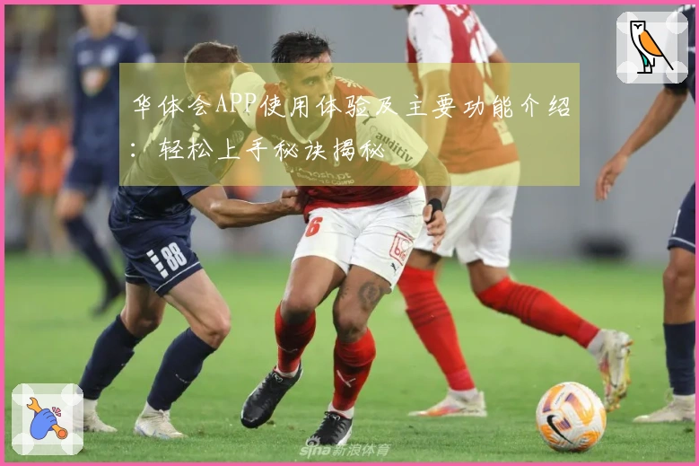 华体会APP使用体验及主要功能介绍：轻松上手秘诀揭秘